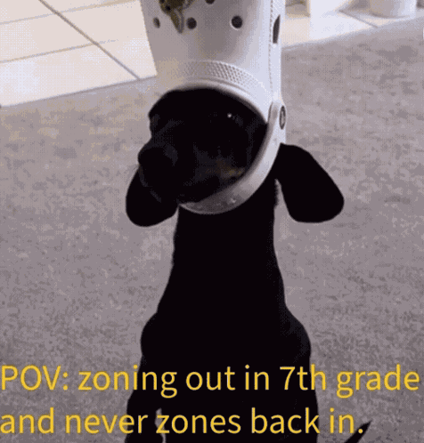 Pov 7thgrade Zoning Dogwithcroc Funny GIF