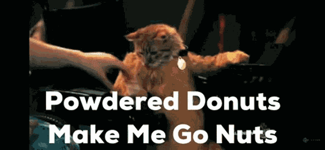 Powdereddonuts Makemegonuts GIF