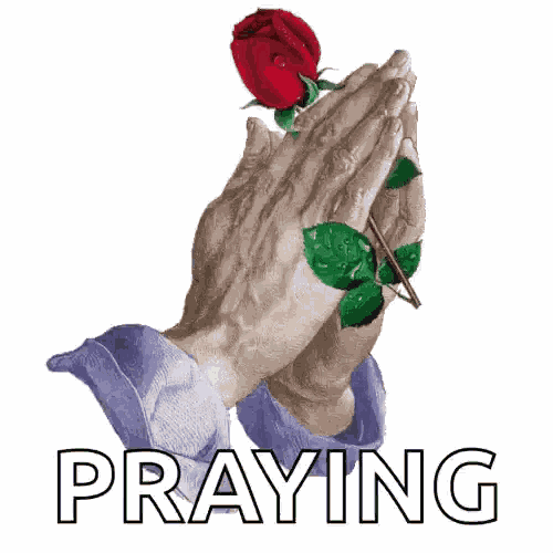 Praying Red Rose GIF