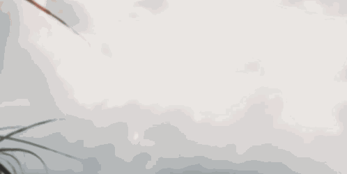 Predator Badlands 2025 GIF