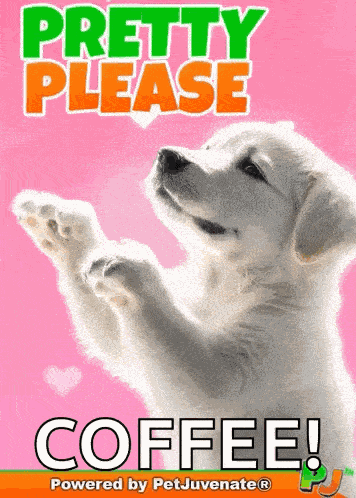 Pretty Please I Beg You Petjuvenate Funny Cute Gif Dog Mom Beg Pup Begging Puppy Cute Doggo Hooman Fren Boop Blep GIF
