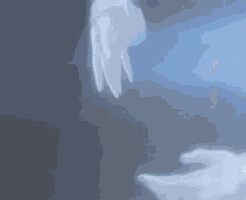 Princess Tutu Ahiru GIF