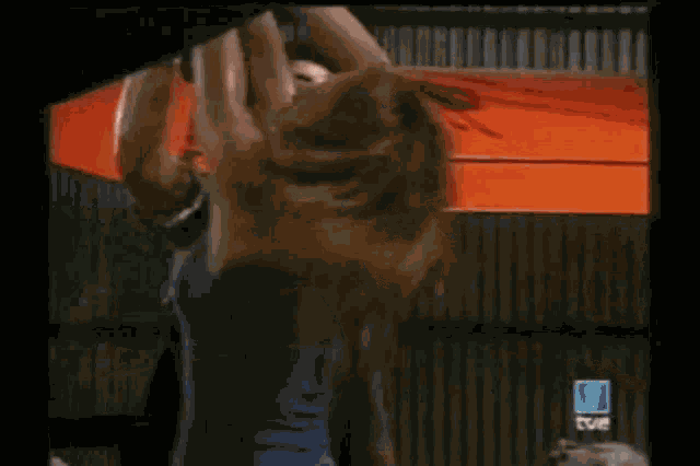 Prisionera Whipping GIF