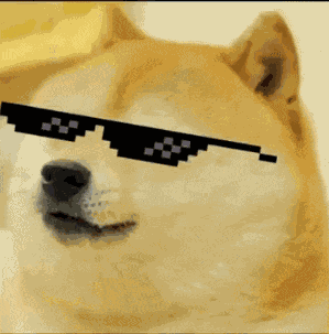 Pro Doge GIF