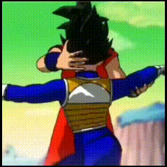 Prov GIF