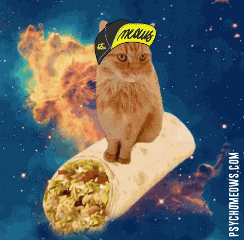 Psycho Meows Web3 GIF