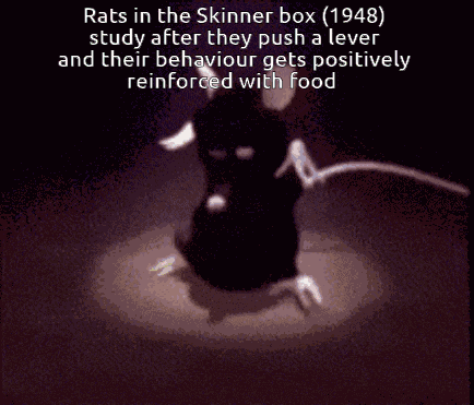 Psychology Skinner Box GIF