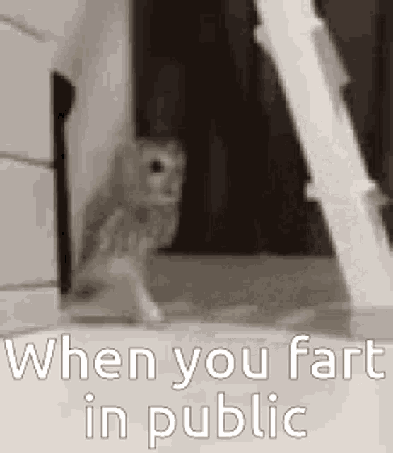 Public Farts GIF