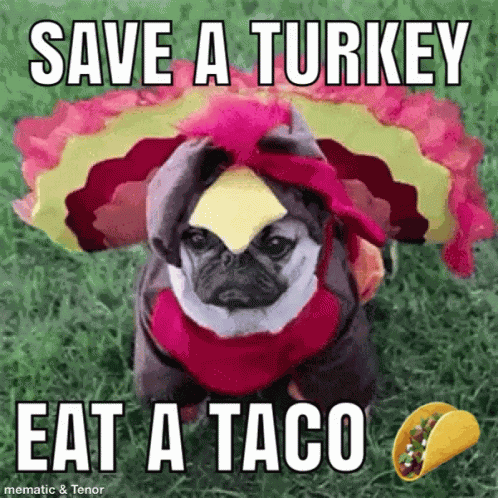 Pug Taco GIF