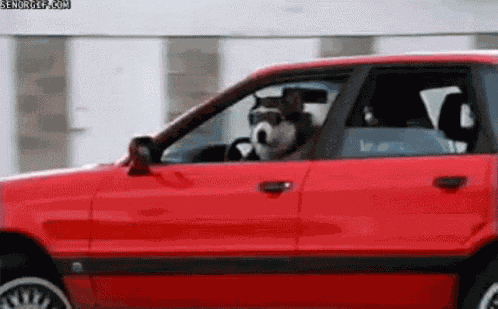 Pull Up Creep GIF