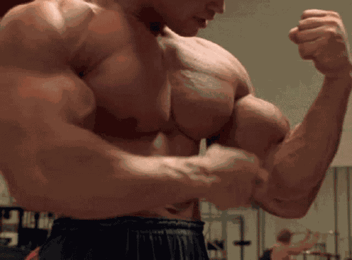 Pumping Iron Arnold Schwarzenegger GIF