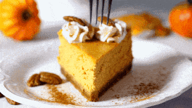 Pumpkin Cheesecake Dessert GIF