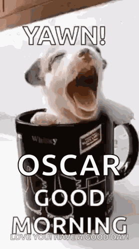 Puppy Cup GIF