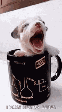Puppy Cup GIF GIF