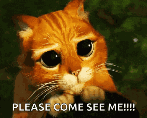 Puppy Dog Eyes Sad GIF