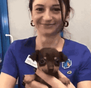Puppy Person Showing Puppy GIF