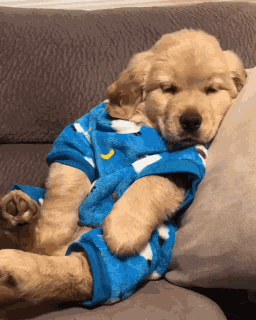 Puppy GIF