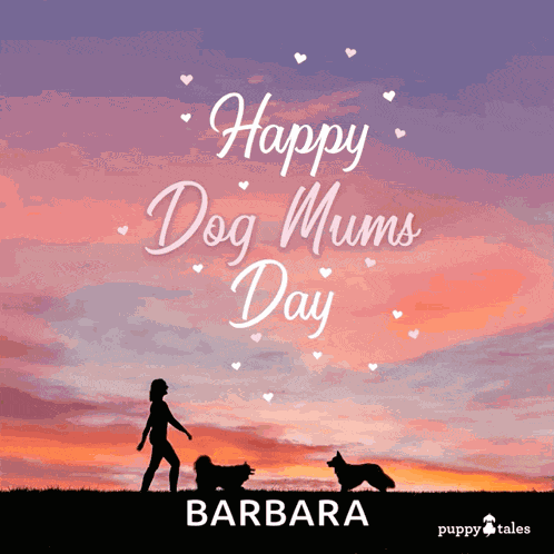 Puppytalesphotos Puppytales GIF