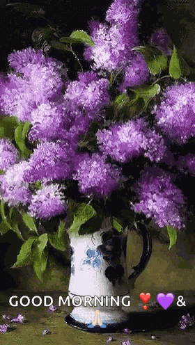 Purple Flowers GIF