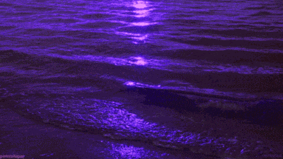Purple Water GIF
