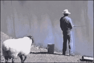 Push Fishing GIF