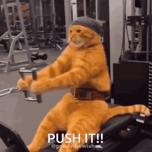 Push It Lets Go GIF
