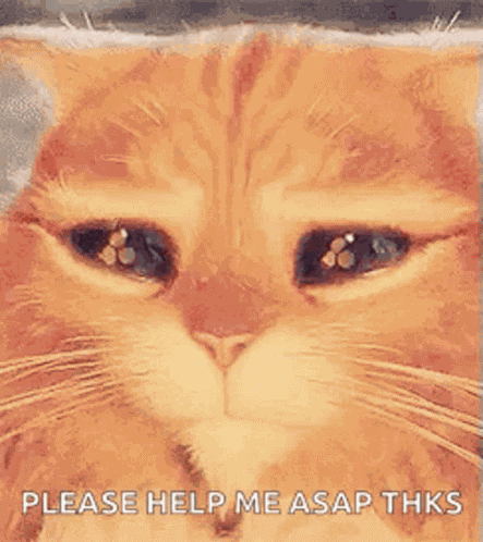 Puss In Boots Cat GIF