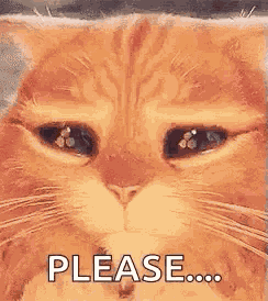 Puss In Boots Cat GIF