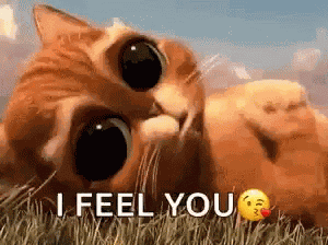 Pussin Boots Cute GIF