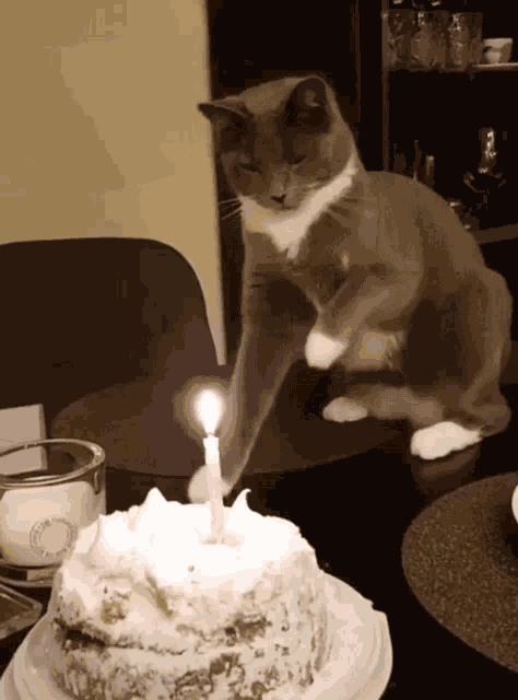 Put Out The Candle Put It Out GIF