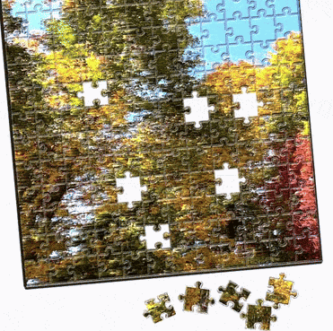 Puzzle Jigsaw Puzzle GIF