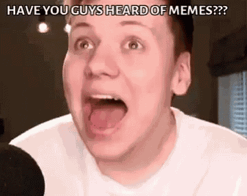 Pyrocynical Have You Guys Heard Of Memes GIF