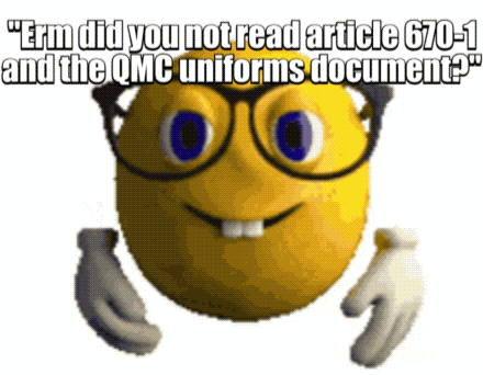 Qmc Usar GIF