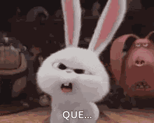 Que What GIF