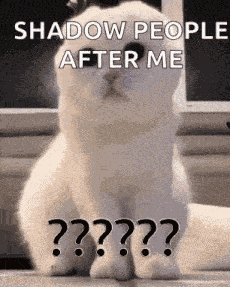 Question Mark Cat GIF