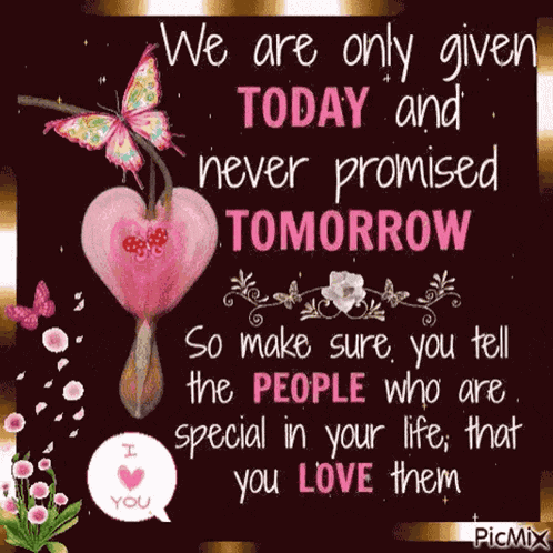 Quotes Today GIF