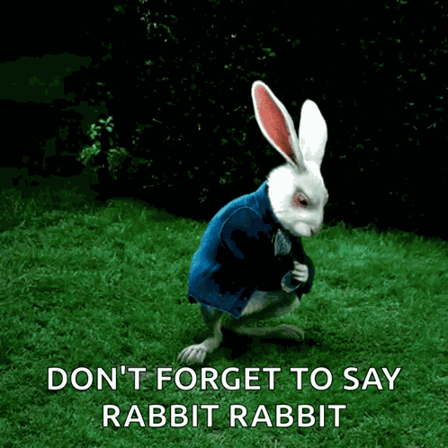 Rabbit Alice In Wonderland GIF