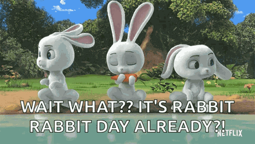 Rabbit Eating Out GIF