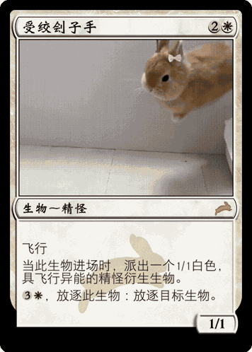 Rabbit Magic The Gathering GIF