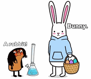 Rabbit Rabbit Rabbit Cute GIF