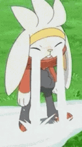 Raboot Pokémon Pokemon GIF
