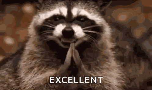 Raccoon Hehehe GIF