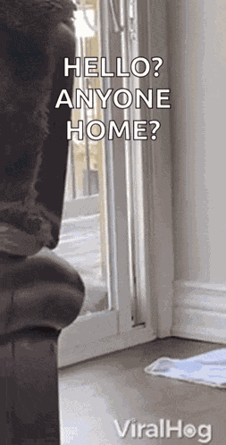 Raccoon Viralhog GIF