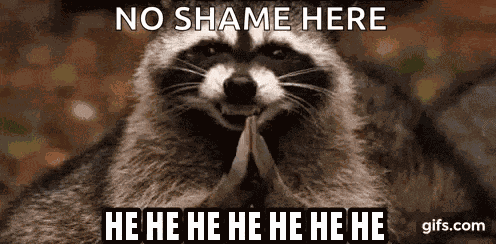 Raccoon Weird GIF