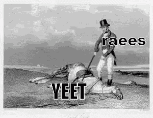 Raees Yeet GIF