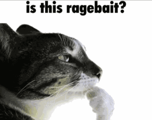 Ragebait Cat Meme
