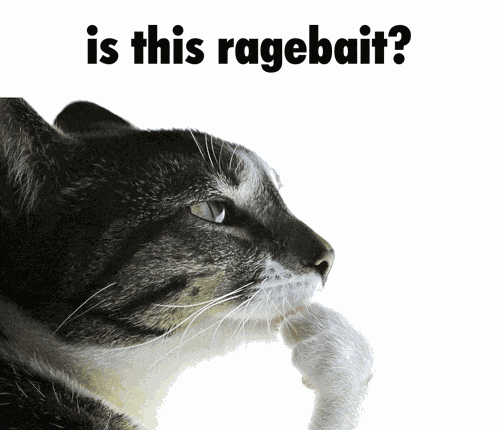 Ragebait Cat Meme