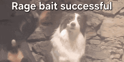 Ragebait Dog GIF