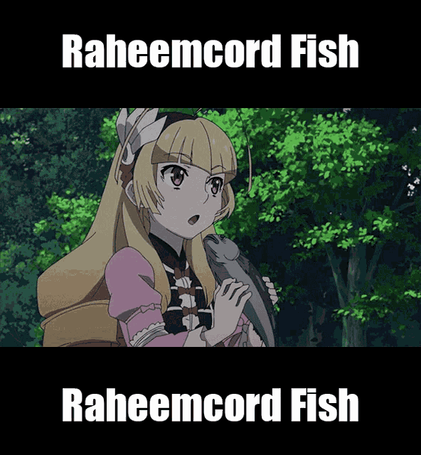 Raheemcord Gregcord GIF
