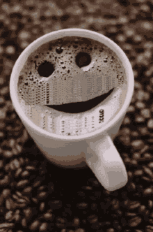 Raiders Raiders Win GIF